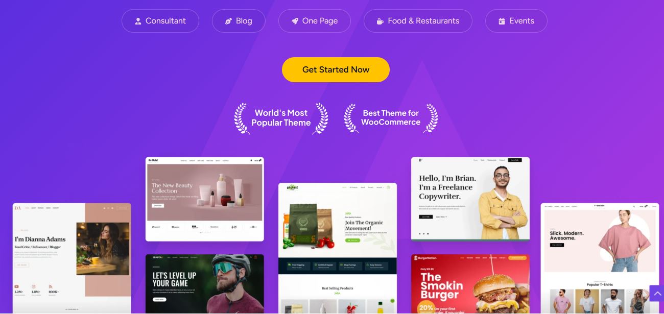 astra wordpress theme
