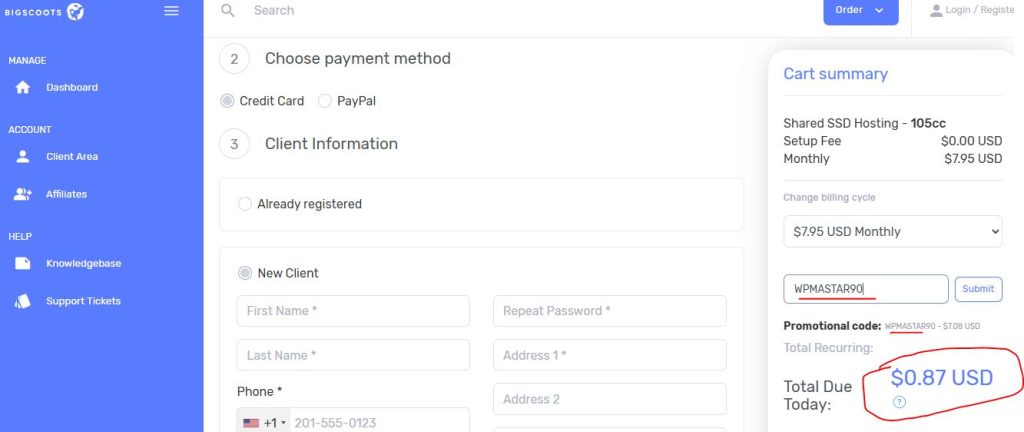 bigscoots coupon applied