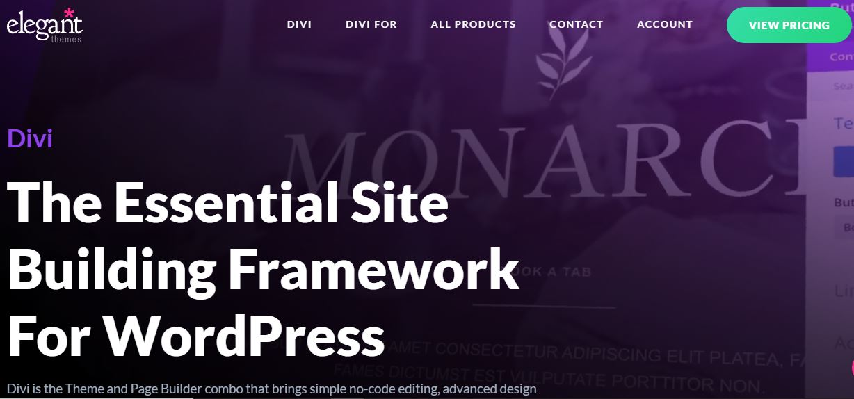 divi elegent themes